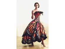 ������ �������.jpg