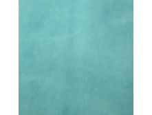 01GOO0072.jpg