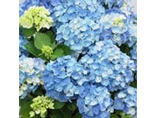 310���. ��������� �������������� �������� �������.jpeg