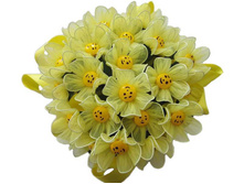 ����� <<�������� ����>> 230�� /Pelino/������