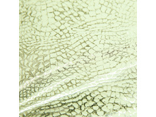 01-TP0111.jpg
