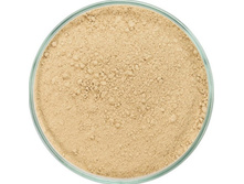 Mineral Finishing veil Translucent Mineral Veil.jpg