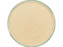 Mineral Foundation Green Tea Foundation Light.jpg