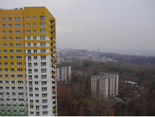 P1000542.JPG