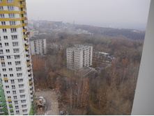 P1000547.JPG