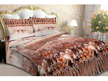 ������� ������ 3870 ��� 2.jpg