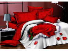 ��������� (WFP-283).jpg