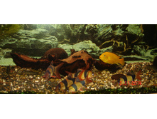 DSC01427_.JPG