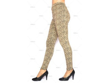 Dana-leo-small 330 ���.jpg