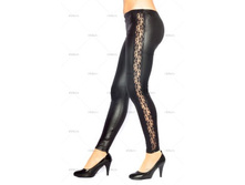 Karolina 260 ���.jpg