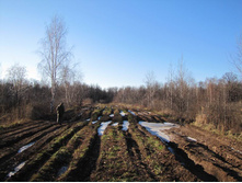 Resize of IMG_0260.JPG