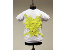 SS14017GTS-J ������ 748 �