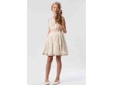 SS14022GSK-L ���� ������� 1352 �