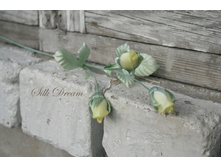 ������ ���.jpg