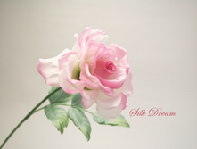 ���� �������.jpg