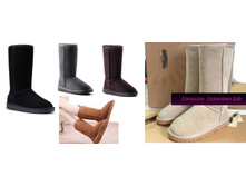 WN116	������������ �����, �������� UGG				1734	���