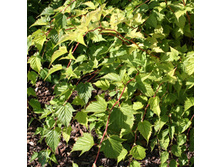 89���. ����������� ��������������� ������.jpg