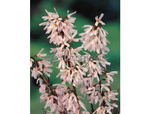 111���. ������������� ��������� �������.jpg