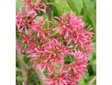 139���. ����������� ������������� �������������.jpg