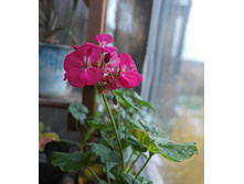 ��� ������� ����.jpg