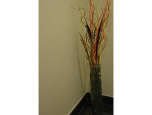 ������� ���������.jpg