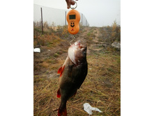 2014-10-12 10.43.12.jpg