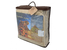 ������ ����������� ��������� ������ 150 ��.jpg