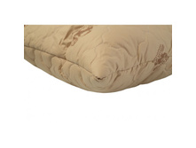 ������� ������ �������1.jpg