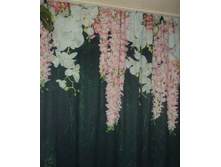 ��������� "������ ����"