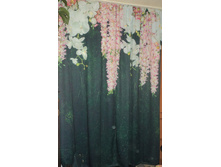 ��������� "������ ����"