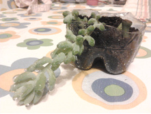 2014-11-06 20.26.48.jpg