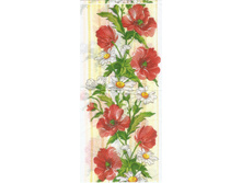 No 23  �����������     3 �