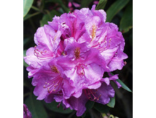 234���. ����������� ��������� ������.jpg