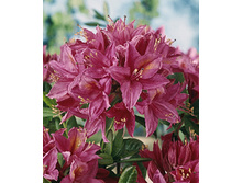 234���. ����������� ������� ���� �����.jpg