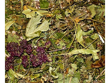 �� �������� ����.(���) 17048�1,36+%