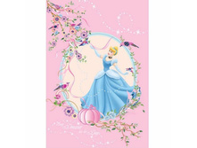 ���� ������� �������� Disney (�������) 150��200.jpg