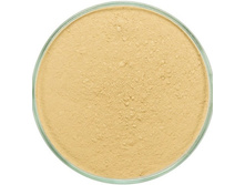 LINEN Foundation.jpg