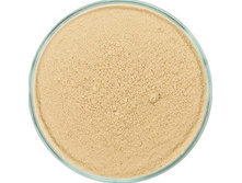 Petal Foundation.jpg