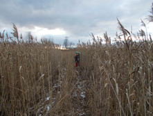 DSCN0834.JPG
