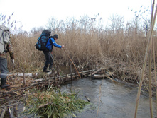 DSCN0885.JPG