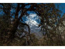 ����� 5.jpg