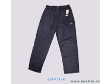 499 ���, GV01-6, �-� 56-60