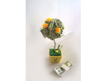 �������� ������ �� 100 ��������.�����. 790 ���