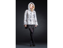 ���� ������� 65