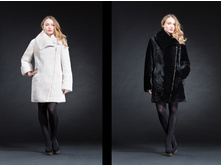 ������� �������� 85