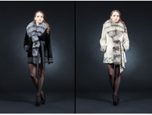 ������ �������� 75