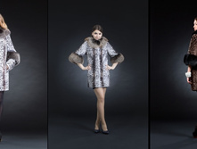 ����� �������� 85