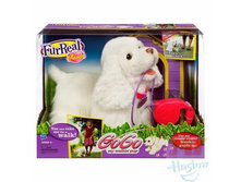 ������������� ������� ����� Gogo.jpg