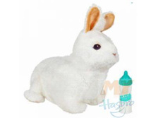 ������������� ��������. ����� ������.jpg