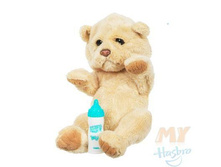 ������������� ��������. ����������.jpg